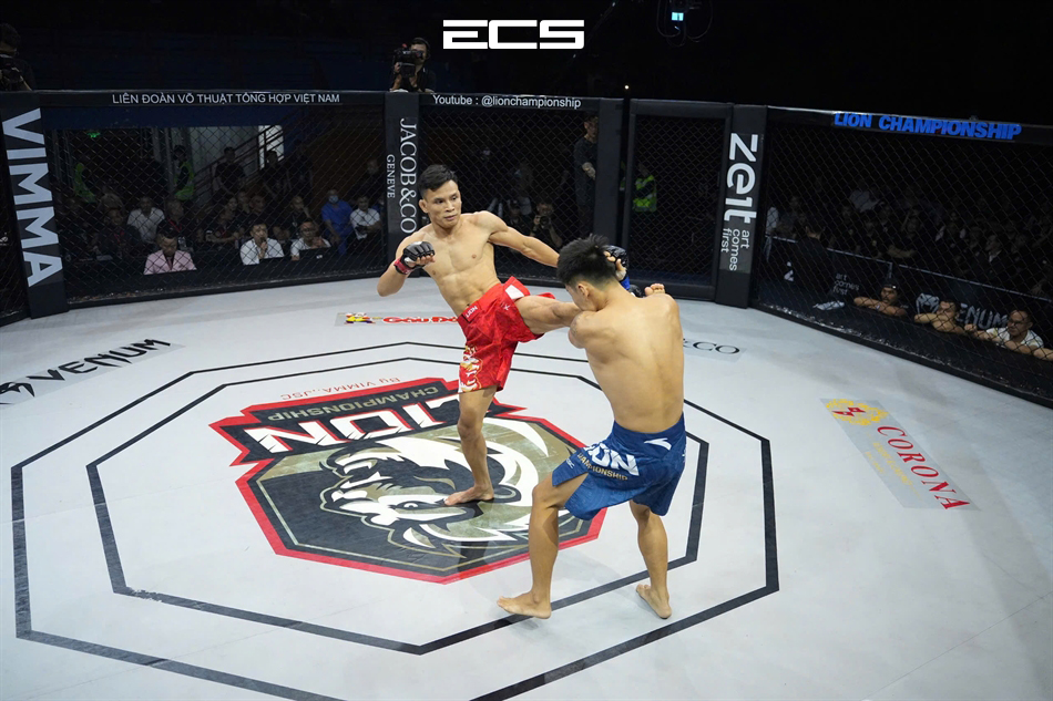 Lợi ích của việc tập MMA