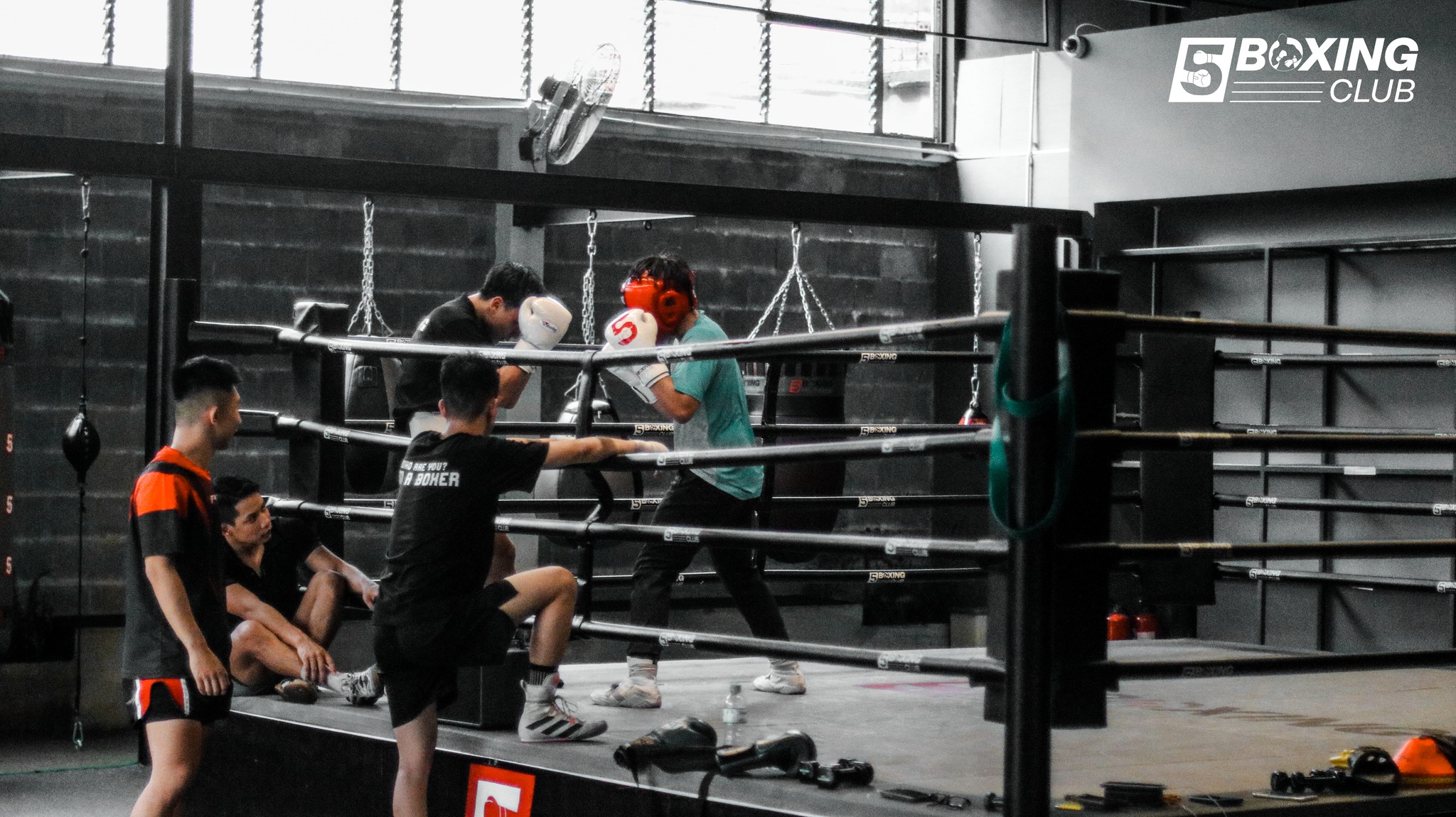 Tập đấm bốc tại 5 Boxing
