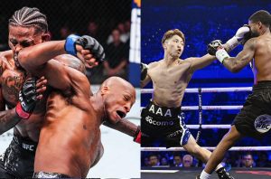 Boxing hay MMA Võ tự vệ