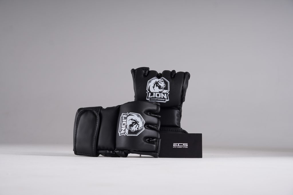 Găng MMA Lion Championship