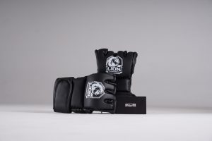 Găng MMA Lion Championship